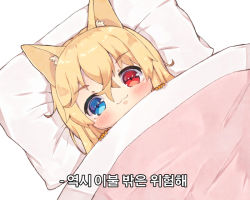 Rule 34 | 1girl, :3, animal ear fluff, animal ears, bad id, bad pixiv id, blonde hair, blue eyes, blush, cat ears, chibi, closed mouth, foreign blue, g41 (girls&#039; frontline), girls&#039; frontline, hair between eyes, heterochromia, korean text, long hair, looking at viewer, lying, on back, pillow, red eyes, solo, translation request, under covers, white background