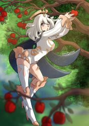 Rule 34 | 1girl, aged up, apple, apple tree, bodysuit, boots, breasts, cape, food, fruit, genshin impact, halo, high heel boots, high heels, highres, kinkymation, medium breasts, paimon (genshin impact), purple eyes, single thighhigh, thighhighs, tree, white footwear, white hair, white thighhighs