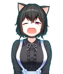 Rule 34 | 1girl, absurdres, animal ears, black collar, black hair, black shirt, breasts, buttons, cat ears, cat girl, center frills, collar, commentary, commission, crossed bangs, fang, frills, hair between eyes, half-closed eye, highres, kim nico, long sleeves, looking at viewer, medium breasts, neck ribbon, one eye closed, open mouth, original, pink eyes, ribbon, shirt, short hair, sidelocks, simple background, solo, suspenders, tears, upper body, white background, white ribbon, yawning