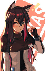 Rule 34 | !, 1girl, absurdres, animal ears, arknights, black gloves, black hair, character name, closed mouth, earrings, female focus, fingerless gloves, food, food on face, gloves, highres, holding, holding food, id card, jacket, jewelry, long hair, long sleeves, looking at viewer, pocky, pureakuma, solo, texas (arknights), white background, white jacket, wolf ears, wolf girl, yellow eyes