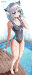Rule 34 | 1girl, animal ear fluff, animal ears, barefoot, black one-piece swimsuit, blue archive, blue eyes, breasts, commentary, competition swimsuit, covered navel, cross hair ornament, english commentary, extra ears, fraxstars, full body, grey hair, hair down, hair ornament, halo, hand towel, highres, medium hair, mismatched pupils, mixed-language commentary, multicolored clothes, multicolored swimsuit, official alternate costume, one-piece swimsuit, pool, poolside, shiroko (blue archive), shiroko (swimsuit) (blue archive), small breasts, solo, standing, swimsuit, wet, wolf ears