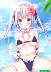 Rule 34 | 1girl, absurdres, animal ears, artist name, bare arms, bare shoulders, bikini, black bikini, blue sky, blush, bow, bowtie, breasts, breasts apart, cat ears, cat girl, cat tail, cloud, cloudy sky, collarbone, day, detached collar, flower, frilled bikini, frills, gloves, hair flower, hair ornament, hair ribbon, hibiscus, highres, horizon, large breasts, bridal garter, long hair, looking at viewer, melonbooks, navel, outdoors, purple eyes, ribbon, scan, shibainu niki, silver hair, sitting, sky, smile, solo, sparkle, strap pull, swimsuit, tail, twintails, water, white gloves