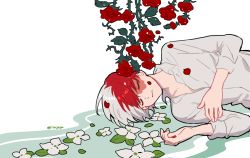 Rule 34 | 1boy, boku no hero academia, burn scar, closed mouth, collared shirt, commentary, english commentary, closed eyes, flower, imjayu, long sleeves, lying, male focus, multicolored hair, on side, red flower, red hair, scar, scar on face, shirt, short hair, simple background, solo, split-color hair, todoroki shouto, twitter username, two-tone hair, white background, white flower, white hair, white shirt