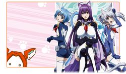 Rule 34 | 3girls, age difference, ahoge, animal ears, arm up, ascot, asobi ni iku yo!, ass, assist-a-roid, assistaroid, back-to-back, bell, belt, belt pouch, belt skirt, blue eyes, blue hair, bodysuit, boots, bracer, breasts, cape, cat ears, cat tail, chaika, clenched hands, clothing cutout, collar, crossed legs, earrings, extra ears, flat chest, floating hair, framed, from side, gloves, hair between eyes, hand on own knee, happy, highleg, highleg leotard, impossible clothes, jewelry, jingle bell, knee boots, kneepits, kuune, large breasts, leg up, leotard, light smile, long hair, looking back, melwin, multiple girls, neck bell, official art, outline, own hands together, paw pose, paw print, polka dot, polka dot background, pouch, purple eyes, purple hair, robot, short hair, short twintails, silver hair, sitting, skin tight, small breasts, smile, striped, striped background, tail, tail hole, tail through clothes, thighhighs, transparent background, turtleneck, twintails, unitard, very long hair, very short hair, white legwear, yellow eyes, zoom layer