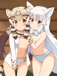 Rule 34 | 2girls, absurdres, animal ear fluff, animal ears, arctic fox (kemono friends), blonde hair, blush, bow, bowtie, breasts, brown eyes, brown hair, cat ears, cat girl, cat tail, collarbone, commentary, cowboy shot, extra ears, fox ears, fox girl, fox tail, geoffroy&#039;s cat (kemono friends), hair between eyes, highres, kemono friends, long hair, long sleeves, looking at viewer, low twintails, multicolored hair, multiple girls, navel, nipples, no bra, open clothes, open shirt, panties, shiraha maru, shirt tug, small breasts, smile, split mouth, striped tail, tail, thigh gap, topless, twintails, underwear, underwear only, very long hair, white hair, white neckwear, white panties