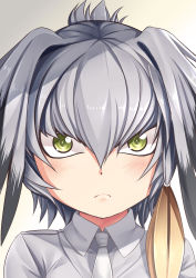 Rule 34 | 10s, 1girl, brown hair, commentary request, dot nose, frown, green eyes, grey hair, grey necktie, grey shirt, hair between eyes, head wings, highres, kemono friends, looking at viewer, low ponytail, multicolored hair, necktie, portrait, shirt, shoebill (kemono friends), side ponytail, solo, wings, yasume yukito