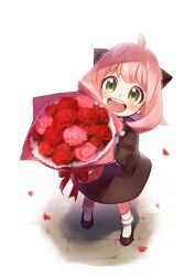 Rule 34 | 1girl, ahoge, anya (spy x family), aoi rokushou, black dress, black footwear, blush, bouquet, bow, child, commentary request, dress, falling petals, flower, from above, full body, green eyes, hairpods, highres, holding, holding bouquet, looking at viewer, looking up, medium hair, mother&#039;s day, open mouth, petals, pink hair, pov, red bow, red flower, red rose, rose, shoes, simple background, smile, socks, solo, spy x family, standing, teeth, upper teeth only, white socks
