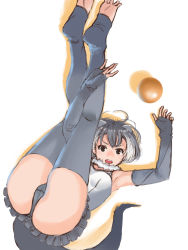 Rule 34 | 10s, 1girl, animal ears, arm warmers, armpits, ass, bad id, bad pixiv id, ball, brown eyes, feet, fingerless gloves, fluffy collar, furukawa herzer, gloves, grey hair, grey legwear, highres, kemono friends, legs up, looking at viewer, lying, multicolored hair, no shoes, on back, otter ears, otter tail, panties, simple background, small-clawed otter (kemono friends), soles, tail, toeless legwear, toes, two-tone hair, underwear, white background