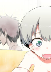 Rule 34 | 1boy, 1girl, bathroom, blue eyes, blush, breasts, brown hair, commentary request, fang, grey hair, highres, hitotose rin, mixed-sex bathing, nude, open mouth, shared bathing, short hair, skin fang, smile, solo focus, upper body, uzaki-chan wa asobitai!, uzaki hana, wet