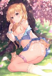 Rule 34 | 1girl, absurdres, animal, ass, bare shoulders, blonde hair, blouse, blue shirt, blue skirt, breasts, cat, cherry blossoms, cleavage, clothes lift, crop top, flower, frilled socks, frills, highres, holding, holding flower, kneehighs, leg belt, lingerie, long hair, long sleeves, looking at viewer, medium breasts, midriff, miniskirt, navel, nipples, no bra, off shoulder, omelet tomato, open clothes, open shirt, orange eyes, original, panties, pleated skirt, school uniform, see-through, shirt, sideboob, skirt, skirt lift, socks, solo, stomach, string panties, thigh strap, thighs, thong, tree, two side up, underwear, white panties, white socks