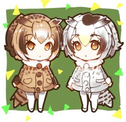 Rule 34 | 10s, 2girls, :o, bird tail, brown eyes, brown hair, brown jacket, chibi, commentary request, eurasian eagle owl (kemono friends), fur collar, green background, grey eyes, jacket, kemono friends, looking at viewer, multiple girls, northern white-faced owl (kemono friends), pantyhose, parted lips, shoes, short hair, sibyl, tail, white footwear, white legwear