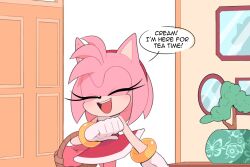 Rule 34 | 1girl, amy rose, basket, bracelet, closed eyes, dress, english text, furry, furry female, gloves, highres, holding, holding basket, jewelry, open door, open mouth, red dress, smile, solo, sonic (series), speech bubble, toonsite, white gloves
