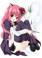 Rule 34 | 00s, 1girl, animal ears, bad id, bad pixiv id, black thighhighs, book, cape, floral background, juna, legs up, long hair, looking at viewer, louise francoise le blanc de la valliere, mary janes, pentacle, pink eyes, pink hair, shoes, smile, solo, thighhighs, wand, zero no tsukaima