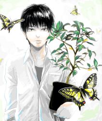 Rule 34 | 1boy, black hair, blue eyes, bug, butterfly, cocoon, drawr, facing viewer, insect, male focus, oekaki, original, plant, potted plant, re:i, shirt, sleeves rolled up, solo, white shirt