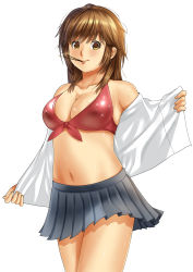 Rule 34 | 1girl, amagami, bikini, bikini top only, breasts, brown eyes, brown hair, cleavage, food, front-tie top, highres, large breasts, mouth hold, navel, paintedmike, pleated skirt, pocky, sakurai rihoko, skirt, smile, solo, sparkle, swimsuit, undressing