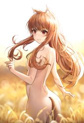 Rule 34 | 1girl, animal ears, bad id, bad pixiv id, blurry, blurry background, breasts, brown hair, commentary request, cowboy shot, day, fang, from behind, highres, holo, long hair, looking at viewer, nude, outdoors, red eyes, skin fang, small breasts, smile, solo, spice and wolf, suou-sensei, tail, wolf ears, wolf tail