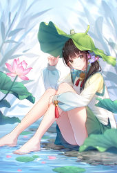 Rule 34 | 1girl, absurdres, animal, ass, bare legs, barefoot, bell, black hair, blurry, blurry foreground, blush, brown eyes, closed mouth, commentary request, day, depth of field, earrings, flower, frog, glint, green hat, green skirt, gujian qitan, hair flower, hair ornament, hair over shoulder, hand on headwear, hand up, hat, highres, hugging own legs, jewelry, jingle bell, knees up, leaf, leaf hat, light rays, lily pad, long hair, long sleeves, looking at viewer, lotus, miniskirt, nature, original, outdoors, petals, petals on liquid, pink flower, plant, puffy sleeves, purple flower, quan (kurisu tina), shirt, side ponytail, sidelocks, sitting, skirt, smile, solo, sunbeam, sunlight, tassel, thighs, water, white shirt