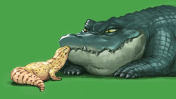 Rule 34 | animal focus, crocodile, crocodilian, gecko, green background, leopard gecko, making-of available, nishimawari kouro, no humans, original, simple background, size difference, smile