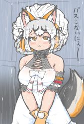 Rule 34 | animal costume, animal ear fluff, animal ears, fox ears, fox girl, fox tail, highres, island fox (kemono friends), kemono friends, kemono friends v project, mujinamori tamakichi, tail, virtual youtuber