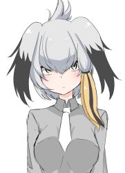 Rule 34 | 10s, 1girl, blush, breasts, closed mouth, collared shirt, commentary, folded ponytail, grey hair, grey shirt, head wings, kemono friends, long sleeves, looking at viewer, malice stella, medium breasts, multicolored hair, necktie, shirt, shoebill (kemono friends), side ponytail, simple background, solo, upper body, white background, white necktie, wing collar, wings, yellow eyes