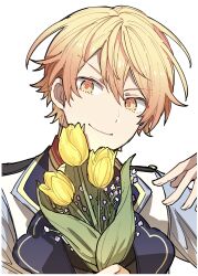 Rule 34 | 1boy, absurdres, blue jacket, closed mouth, flower, highres, holding, holding flower, hoshi-toge, jacket, looking at viewer, project sekai, simple background, smile, solo, tenma tsukasa, tulip, upper body, white background, white jacket, yellow flower, yellow tulip
