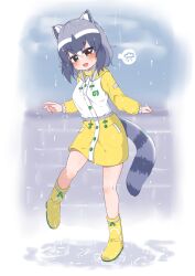 Rule 34 | 1girl, absurdres, animal ears, black hair, blush, boots, brown eyes, chai chai huishi, coat, common raccoon (kemono friends), full body, grey hair, highres, kemono friends, kemono friends 3, long sleeves, looking at viewer, multicolored hair, open mouth, outdoors, raccoon ears, raccoon girl, raccoon tail, rain, raincoat, rubber boots, short hair, skirt, smile, solo, tail, white hair, yellow coat, yellow footwear, yellow raincoat