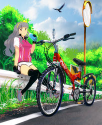 Rule 34 | 10s, 1girl, bad id, bad pixiv id, bicycle, bird, black thighhighs, bottle, brown eyes, cloud, day, facing viewer, full body, gloves, guard rail, idolmaster, idolmaster (classic), idolmaster 2, knees together feet apart, kouno (masao), long hair, looking at viewer, mirror, outdoors, road, road sign, shijou takane, shoes, shorts, sign, silver hair, sitting, sky, smile, solo, thighhighs, traffic mirror, water bottle
