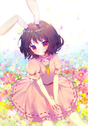 Rule 34 | 1girl, abstract background, animal ears, between legs, black hair, blue background, blush, carrot necklace, dress, feet out of frame, field, fingernails, flower, flower field, gradient background, grin, hand between legs, head tilt, highres, hinasumire, inaba tewi, jewelry, looking at viewer, nail polish, necklace, outstretched legs, own hands together, pink dress, puffy short sleeves, puffy sleeves, rabbit ears, red eyes, short hair, short sleeves, silver nails, sitting, smile, solo, touhou, white background, yellow nails