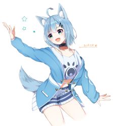 Rule 34 | 1girl, :d, ahoge, animal ear fluff, animal ears, artist request, bare legs, blue eyes, blue hair, blue jacket, blue shorts, character name, collar, collarbone, cowboy shot, dog tail, fangs, hair ornament, hairclip, highres, himasen, jacket, long sleeves, looking at another, midriff, mihana rio, open clothes, open jacket, open mouth, patterned clothing, paw print, shirt, shorts, sidelocks, simple background, smile, solo, tail, thighs, virtual youtuber, wactor production, white background, white shirt