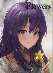 Rule 34 | 1girl, ahoge, bad id, bad pixiv id, blurry, blurry background, blush, chan1moon, closed mouth, commentary request, cover, cover page, depth of field, flower, green eyes, grey shirt, hair between eyes, hand up, highres, holding, holding flower, idolmaster, idolmaster million live!, idolmaster million live! theater days, long hair, mochizuki anna, petals, purple hair, shirt, smile, solo, upper body, yellow flower