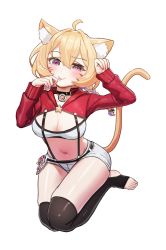 Rule 34 | 1girl, absurdres, ahoge, animal ear fluff, animal ears, arms up, belt, black choker, black thighhighs, blonde hair, braid, breasts, cat ears, cat girl, cat tail, choker, cleavage, closed mouth, crop top, facial mark, highres, hood, hood down, large breasts, long hair, long sleeves, looking at viewer, micro shorts, midriff, navel, pinion, purple eyes, shirt, shorts, shrug (clothing), shyrei faolan, simple background, single braid, skindentation, smile, solo, star (symbol), stirrup legwear, stomach, suspenders, tail, tail raised, thighhighs, thighs, toeless legwear, tongue, tongue out, virtual youtuber, vyugen, white background, white shirt, white shorts
