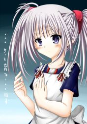 Rule 34 | 00s, apron, blue eyes, long hair, pointy ears, primula, shuffle!, silver hair, solo, t (dyuhuhudyukusi), translation request, twintails