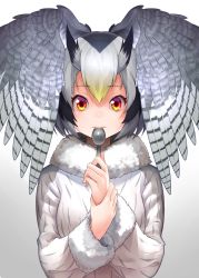 Rule 34 | 10s, 1girl, black hair, coat, fur collar, gochiwa, gradient background, grey background, hand on own wrist, head wings, highres, kemono friends, long sleeves, looking at viewer, multicolored hair, northern white-faced owl (kemono friends), red eyes, solo, spoon, spread wings, upper body, utensil in mouth, white background, white coat, white hair, wings
