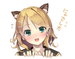 Rule 34 | 1girl, :d, animal ears, aqua eyes, bad id, bad pixiv id, blonde hair, blush, cat ears, close-up, flying sweatdrops, furukawa itsuse, hair ornament, hairclip, kagamine rin, looking at viewer, open mouth, sailor collar, short hair, simple background, smile, solo, vocaloid, white background