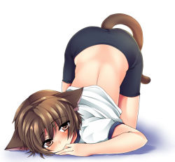 Rule 34 | 1boy, androgynous, animal ears, bad id, bad pixiv id, bike shorts, blush, brown eyes, brown hair, cat boy, cat ears, cat tail, gym uniform, little busters!, male focus, masayu, naoe riki, original, short hair, simple background, solo, tail, trap