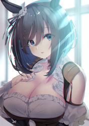 Rule 34 | 1girl, animal ears, bad id, bad pixiv id, black hair, black shirt, blue eyes, blurry, blurry background, blush, breasts, cleavage, collarbone, commentary request, detached sleeves, eishin flash (umamusume), hair between eyes, hair ornament, hair ribbon, hand on own chest, highres, horse ears, horse girl, large breasts, lips, looking at viewer, low neckline, noto kurumi, parted lips, puffy short sleeves, puffy sleeves, ribbon, shirt, short sleeves, smile, solo, umamusume, upper body, window