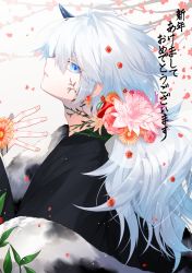 Rule 34 | 1boy, ayashiro keika, bishounen, blue eyes, branch, commentary, facial tattoo, falling petals, flower, hair between eyes, hair flower, hair ornament, happy new year, highres, horns, long hair, looking at viewer, looking to the side, male focus, neck tattoo, new year, original, parted lips, petals, profile, single horn, solo, tattoo, translated, upper body, waka (shark waka), wavy hair, white background, white hair