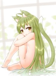 Rule 34 | 1girl, ahoge, akashi (azur lane), animal ears, ass, azur lane, barefoot, blush, breasts, brown eyes, cat ears, cat girl, cat tail, commentary request, full body, green hair, hair between eyes, highres, hugging own legs, kamisaka, kemonomimi mode, long hair, looking at viewer, looking to the side, mole, mole under eye, nude, parted lips, sitting, small breasts, soles, solo, tail, thighs, very long hair