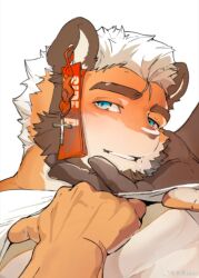 Rule 34 | 2boys, bara, beard, blush, brown fur, cat boy, clothes lift, earrings, facial hair, furry, furry male, furry with furry, hand on another&#039;s chin, hands up, head grab, highres, jewelry, lifted by self, looking at viewer, looking to the side, male focus, mature male, me-me (mouact2), multiple boys, muscular, muscular male, original, shirt lift, short hair, solo focus, thick eyebrows, upper body, yaoi