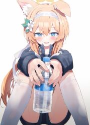 Rule 34 | 1girl, absurdres, animal ear fluff, animal ears, blue archive, blue eyes, blush, bottle, commentary request, feet out of frame, flower, foreshortening, hair between eyes, hair flower, hair ornament, headband, highres, holding, holding bottle, jacket, kneehighs, long hair, looking at viewer, mari (blue archive), mari (track) (blue archive), nishi yasuaki, open mouth, orange hair, panties, panty peek, short shorts, shorts, simple background, sitting, socks, solo, sweat, track jacket, underwear, water bottle, white background, white socks