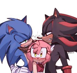 Rule 34 | :t, amy rose, anger vein, angry, animal ears, artist name, black fur, blush, boy sandwich, clenched hand, clenched teeth, commentary, dress, furry, furry female, furry male, gloves, green eyes, hairband, hedgehog, hedgehog boy, hedgehog ears, hedgehog girl, hedgehog tail, highres, kumo zd, looking at another, multicolored fur, pink fur, red dress, red eyes, red fur, red hairband, sandwiched, shadow the hedgehog, simple background, sleeveless, sleeveless dress, sonic (series), sonic boom (series), sonic the hedgehog, sweatdrop, symbol-only commentary, tail, teeth, white background