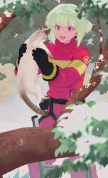 Rule 34 | 1boy, :d, animal, baggy pants, belt, black belt, black gloves, cat, colored eyelashes, earrings, feet out of frame, firefighter, firefighter jacket, gloves, green hair, happy, holding, holding animal, holding cat, in tree, jacket, jewelry, ladder, lio fotia, male focus, on ladder, open mouth, pants, promare, purple eyes, red jacket, red pants, short hair, sidelocks, smile, solo, sweatdrop, trap, tree, triangle earrings, yon prmr