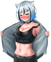 Rule 34 | 1girl, animal collar, animal ears, belt, black belt, black hair, blue eyes, blue hair, blush, breasts, cleavage, collar, collarbone, cottage project, hair between eyes, hair ornament, hairclip, half-closed eyes, heterochromia, highres, large breasts, midriff, multicolored hair, navel, nekojima, nose blush, open clothes, open mouth, opened by self, short hair, solo, sports bra, steaming body, stomach, sweat, tail, tiger tail, transparent background, virtual youtuber, wet, wet bra, wet clothes, white hair, yellow eyes, yukine kohaku