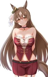 Rule 34 | 1girl, absurdres, animal ears, arms behind back, bare shoulders, bow, breasts, brown hair, choker, cleavage, closed mouth, collarbone, commentary request, ear ribbon, green ribbon, half updo, highres, horse ears, horse girl, horse tail, large breasts, long hair, looking at viewer, navel, orange eyes, purple choker, raindrop746079, red shorts, ribbon, satono diamond (umamusume), shorts, simple background, smile, solo, tail, thighs, umamusume, white background