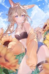 Rule 34 | absurdres, animal ears, black camisole, blonde hair, blue eyes, braid, breasts, camisole, cropped shirt, day, field, flower, flower field, highres, indie virtual youtuber, jacket, long hair, looking at viewer, medium breasts, naiichie, off shoulder, open clothes, open jacket, outdoors, rabbit ears, rabbit tail, shorts, sunflower, sunflower field, tail, twin braids
