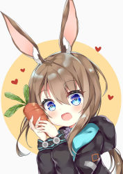 Rule 34 | 1girl, :d, absurdres, amiya (arknights), animal ear fluff, animal ears, arknights, arlene (ju), black jacket, blue eyes, blush, brown background, brown hair, carrot, commentary request, food, grey background, hair between eyes, hands up, heart, heart-shaped pupils, highres, holding, holding food, hood, hood down, hooded jacket, jacket, long hair, looking at viewer, open mouth, rabbit ears, smile, solo, symbol-shaped pupils, two-tone background, upper body