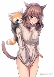 Rule 34 | 10s, 1girl, animal, animal ears, aruma jiki, blue eyes, blush, breasts, brown hair, cat ears, cat tail, clothes pull, covering privates, covering crotch, facial mark, final fantasy, final fantasy xiv, large breasts, long hair, looking at viewer, miqo&#039;te, pulled by self, red panda, ribbed sweater, simple background, solo, sweater, sweater pull, tail, turtleneck, warrior of light (ff14), white background