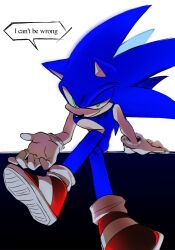 Rule 34 | 1boy, animal ears, animal nose, closed mouth, commentary, crossed legs, english commentary, english text, full body, furry, furry male, gloves, green eyes, highres, looking at viewer, lyrics, male focus, malleng sonic, red footwear, shoes, simple background, sitting, smile, solo, sonic (series), sonic the hedgehog, speech bubble, white background, white gloves