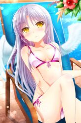 Rule 34 | 1girl, angel beats!, angel wings, bare arms, beach chair, bikini, blush, breasts, breasts apart, chibinon, collarbone, commentary request, day, eyes visible through hair, flower, front-tie bikini top, front-tie top, hair between eyes, knee up, long hair, looking at viewer, medium breasts, outdoors, parted lips, purple bikini, red flower, side-tie bikini bottom, sidelocks, sitting, solo, swimsuit, tenshi (angel beats!), thighs, very long hair, white hair, white wings, wings, yellow eyes