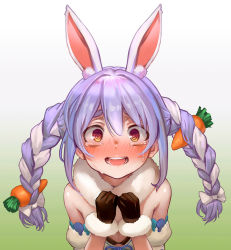 Rule 34 | 1girl, @ @, animal ear fluff, animal ears, as109, black gloves, blue hair, blush, braid, breasts, carrot, carrot hair ornament, commentary request, food-themed hair ornament, from above, fur collar, fur trim, gloves, gradient background, hair between eyes, hair ornament, hololive, long hair, looking at viewer, multicolored hair, open mouth, rabbit ears, simple background, small breasts, solo, tears, twin braids, upper body, usada pekora, usada pekora (1st costume), virtual youtuber, white hair